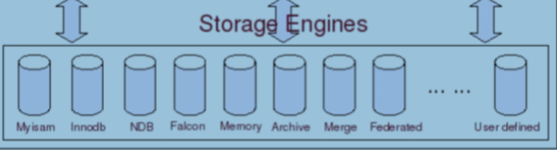 image-20211130205638374